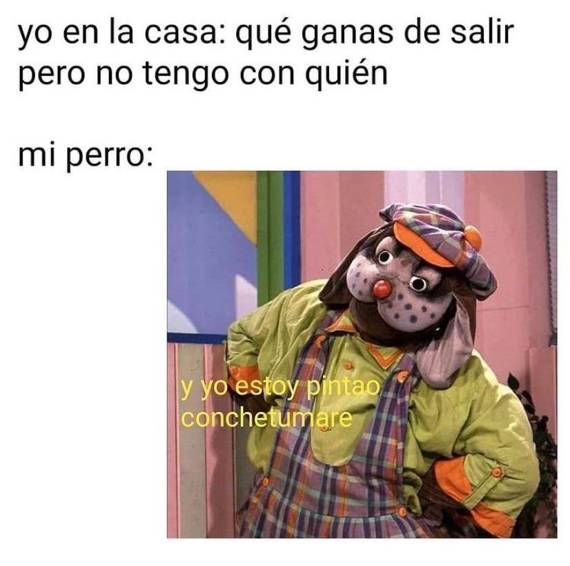 Josefina Gonzalez tweet media