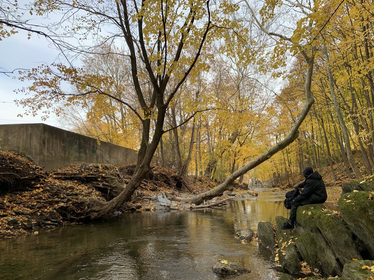 STILLFIN1's tweet photo. Gotta Love Fall. #Fall #autumn #leaves #adventure #stillfin https://t.co/UnHTnr4p7W