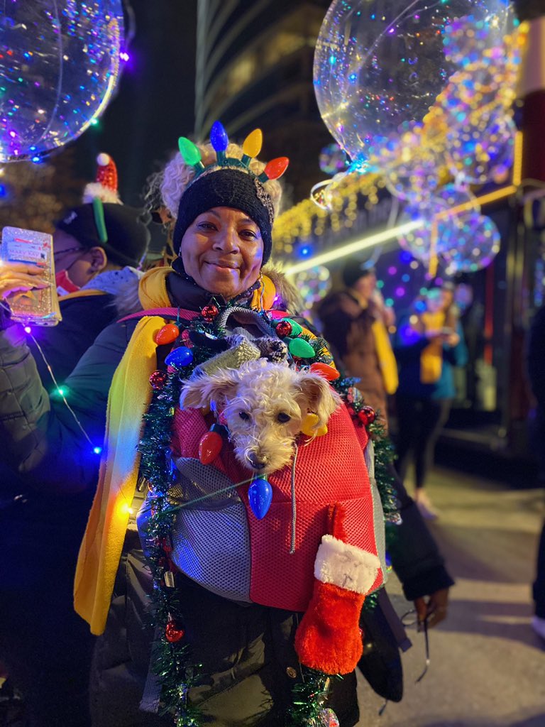 PAWSChicago's tweet photo. #LightUpTheirLives https://t.co/hFraXx0R4v