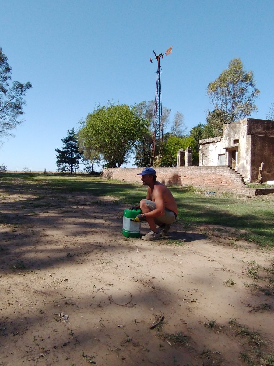 Eze25_17's tweet photo. HoOolaaa Gente!!! Hoy estuve desconectado porque me desconecté! #Proyectito necesitaba mimos; con la siembra en marcha, lo tenía descuidado
Plantamos Jacaranda, Aromito, Lapacho amarillo y rosado, Ombú, Quebracho blanco y colorado y Ceibo
Para mañana quedaron Sauces y Aguaribays https://t.co/ZSA2KR95TU