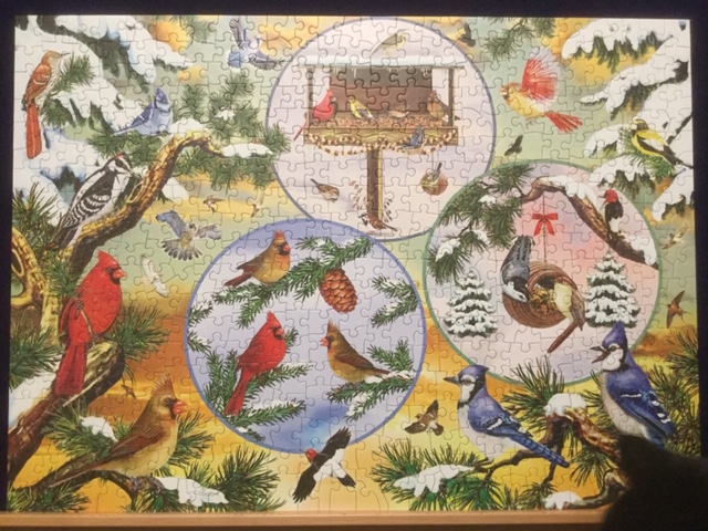 Scrapbook's tweet photo. Winterbird Magic by Cobble Hill | Puzzle Review
This is one of a series. Also ... #500Piece #Birdhouse #Birds #CobbleHill #Snow #WhiteMountainPuzzles #Winter #WinterPuzzles #ChristmasPuzzles #CobbleHillPuzzles #Puzzles #WinterAndChristmasPuzzles | https://t.co/0TnkrW31B0 https://t.co/4YCHP8v8vb