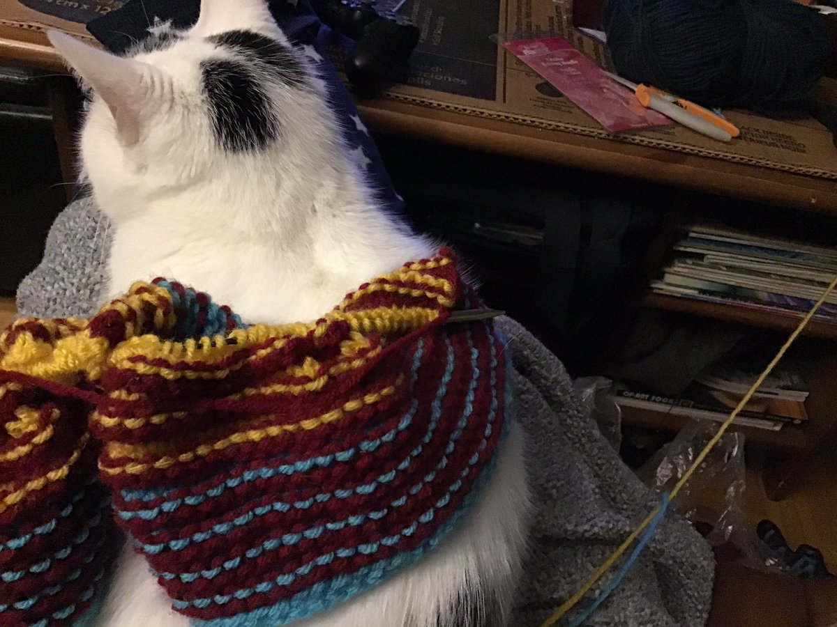 Jocelynn13's tweet photo. #GoLeafsGo #mapleleafsforever #HockeyNightInCanada #CatsOfTwitter #Caturday #DogsofTwittter #dogsofinstagram #knittersontwitter #knitstuff We’re here to watch our Leafs and work on my Slide Blanket. Very different without my little buddy though https://t.co/yr9tZO8u5e