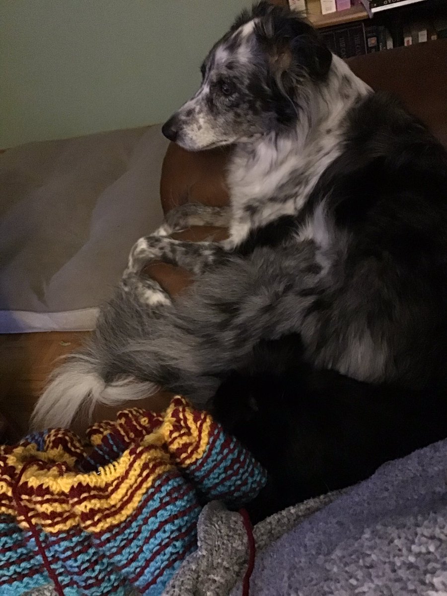 Jocelynn13's tweet photo. #GoLeafsGo #mapleleafsforever #HockeyNightInCanada #CatsOfTwitter #Caturday #DogsofTwittter #dogsofinstagram #knittersontwitter #knitstuff We’re here to watch our Leafs and work on my Slide Blanket. Very different without my little buddy though https://t.co/yr9tZO8u5e