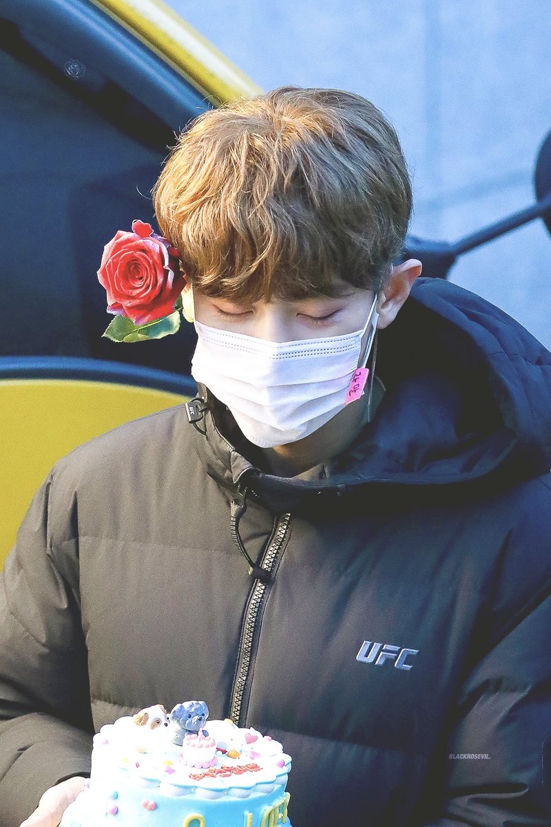 BLACKROSEVIL61's tweet photo. HQ 🌹🍒❤️ 211120

𝕄𝕪 𝕠𝕟𝕖 𝕒𝕟𝕕 𝕠𝕟𝕝𝕪 ℝ𝕆𝕊𝔼.🌹✨

#라만_찬열이의_노래 
#MeissingChanyeol
#찬열 #CHANYEOL 

🔍https://t.co/WUkNV2rKEW https://t.co/DCkTZUG6yv