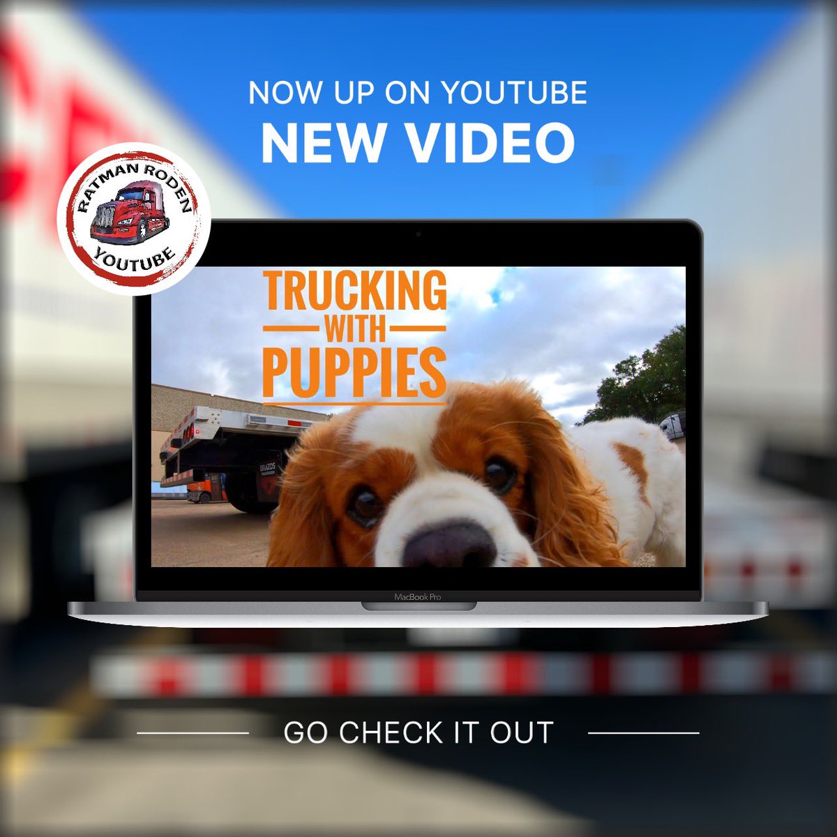 _Terry_Roden's tweet photo. Trucking with Puppies #2022Peterbilt579 #Ultraloft #WillDriveForTacos https://t.co/uiBFpCWydF https://t.co/j1pjJCWMQT