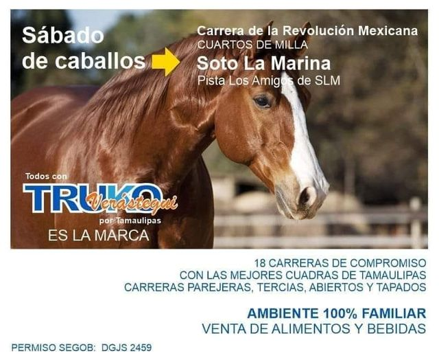 Disfrutando de las carreras de caballos en el festejo de la #RevolucionMexicana en #SoroLaMarina, #Tamaulipas, en un gran ambiente y rodeado de grandes amigos y amigas.

fb.watch/9piy0XipJ0/