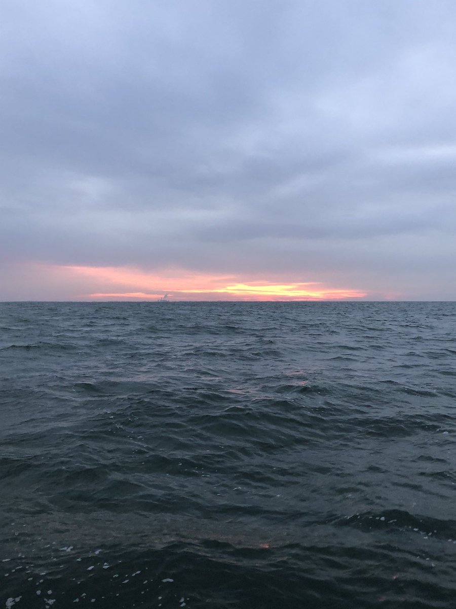 skoenigb's tweet photo. Where did everyone go? Other than a few brave duck hunters and perch fishers, we’ve had Saginaw Bay to ourselves this weekend. Finding some spawning lake whitefish at #Coreyon this fall. https://t.co/fLA1vtOZjy