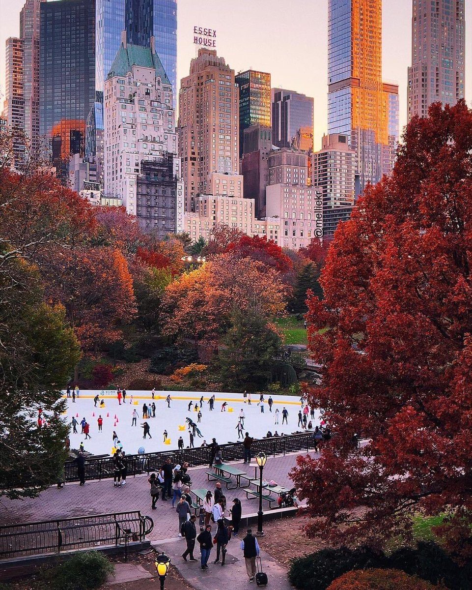 EstiloDF's tweet photo. Un atardecer en Nueva York a tan sólo unas semanas de despedir al otoño. 🍂🥰

CC: melliekr https://t.co/wyd4SI6KBv