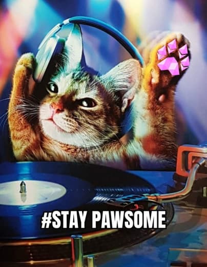 DefiMaximus's tweet photo. #Pawthereum $PAWTHππ The first solid animal charity crypto. 2% all trades go to community chosen projects / shelters. Come be Pawsome with us!
#floki #FlokiVikings #FlokiLoki #dogecoin #doge #NFT #NFTs https://t.co/VFtMiHqFnA