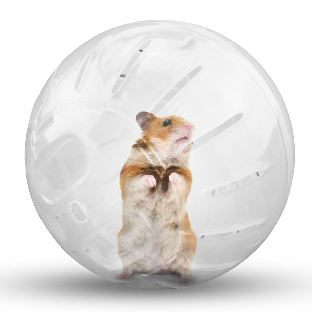 MomosBargains's tweet photo. Hey everyone, checkout our new store product. Perfect for your squeaky little friend!
https://t.co/L2ymwNdLH1 https://t.co/JC8mD4VEHy