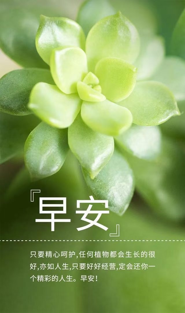 fzj1999's tweet photo. 早安 https://t.co/rTJMw91CXI