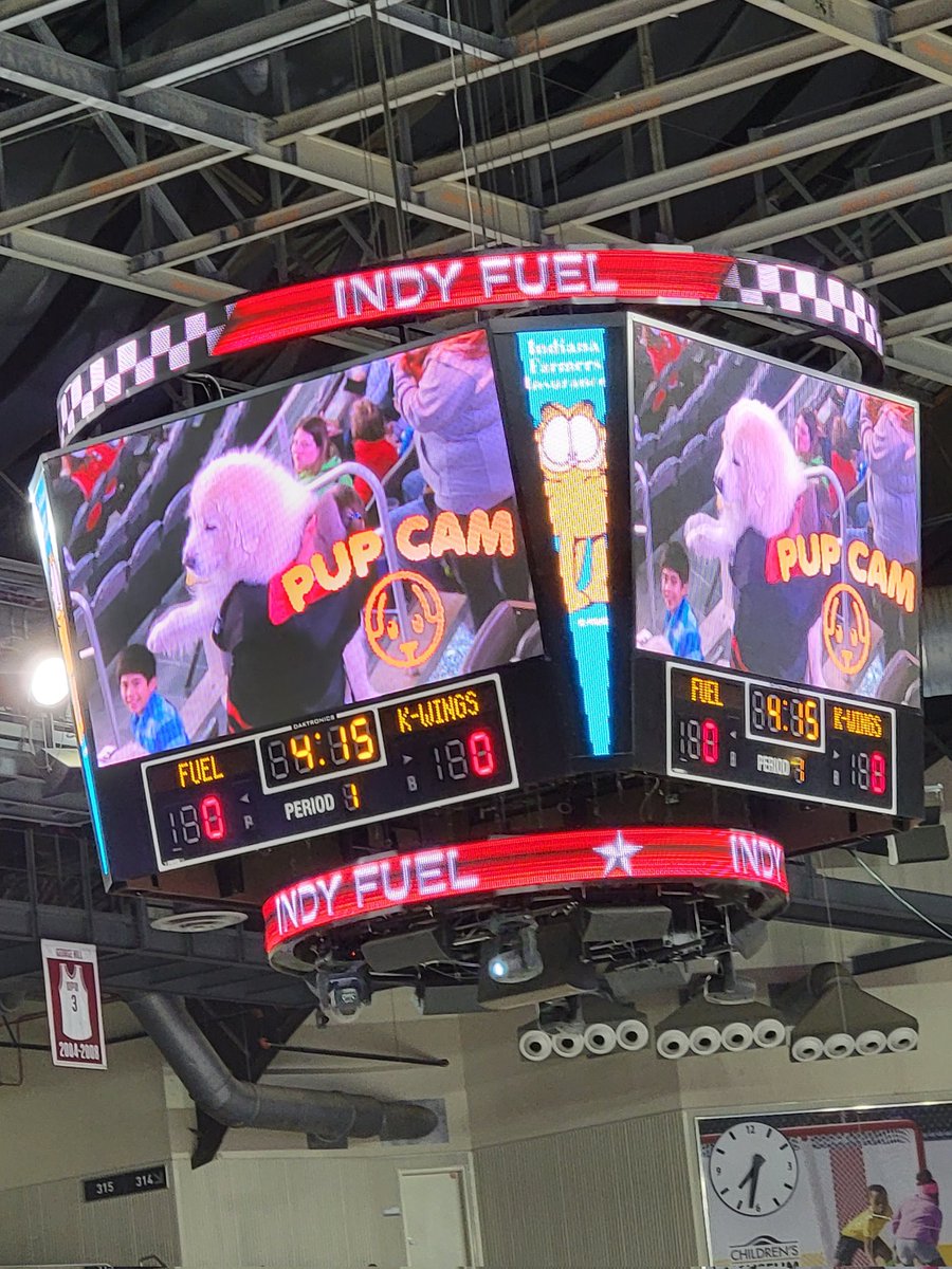BauerleNicole's tweet photo. Brutus didn't make the season tickets this year, but he did make the pup cam! #fuelthefire #fuelify #proudmom
Insta: @brutuscampbell https://t.co/9kbScC4Jao