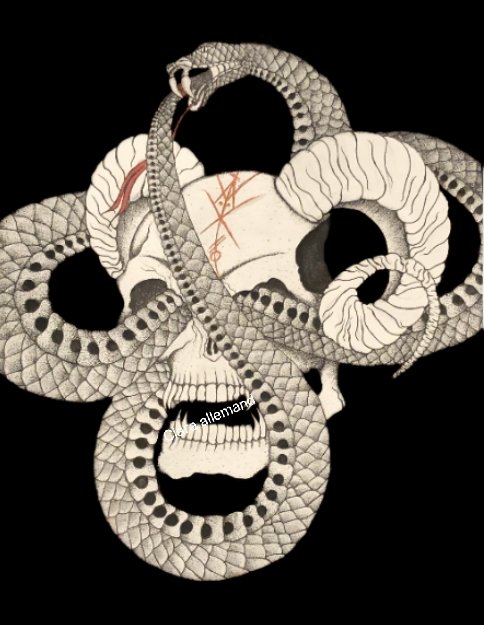 theladyofbones's tweet photo. Could do a long write up on this official Work, however, Just Enjoy 🐍

#serpemtworshipstudios https://t.co/2USO4TGvw6