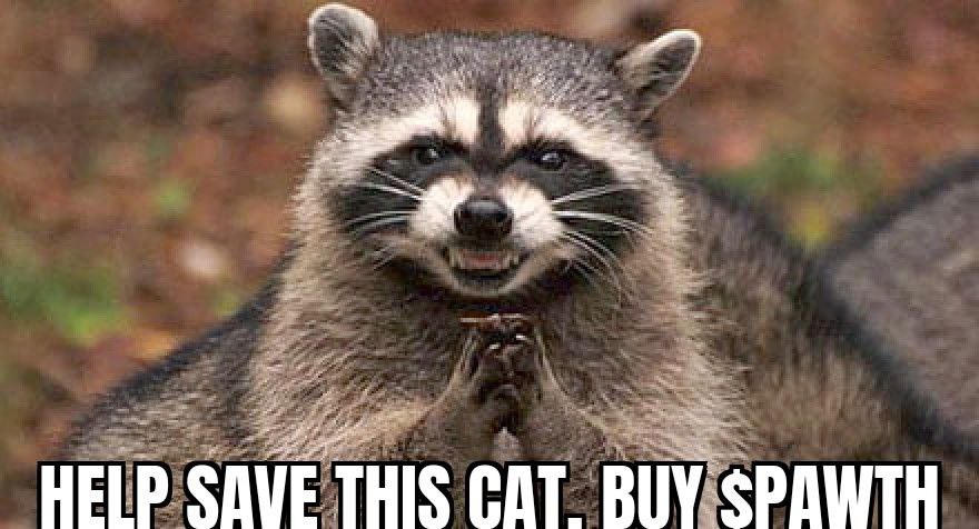 DefiMaximus's tweet photo. small cap early charity coin for animals, 2% direct tokonomics and over $250 000 ( yes really) collected in 3 weeks.....then its gotta be $pawthereum
#floki #FlokiVikings #FlokiLoki #dogecoin #doge #NFT #NFTs https://t.co/KNYbi24brO