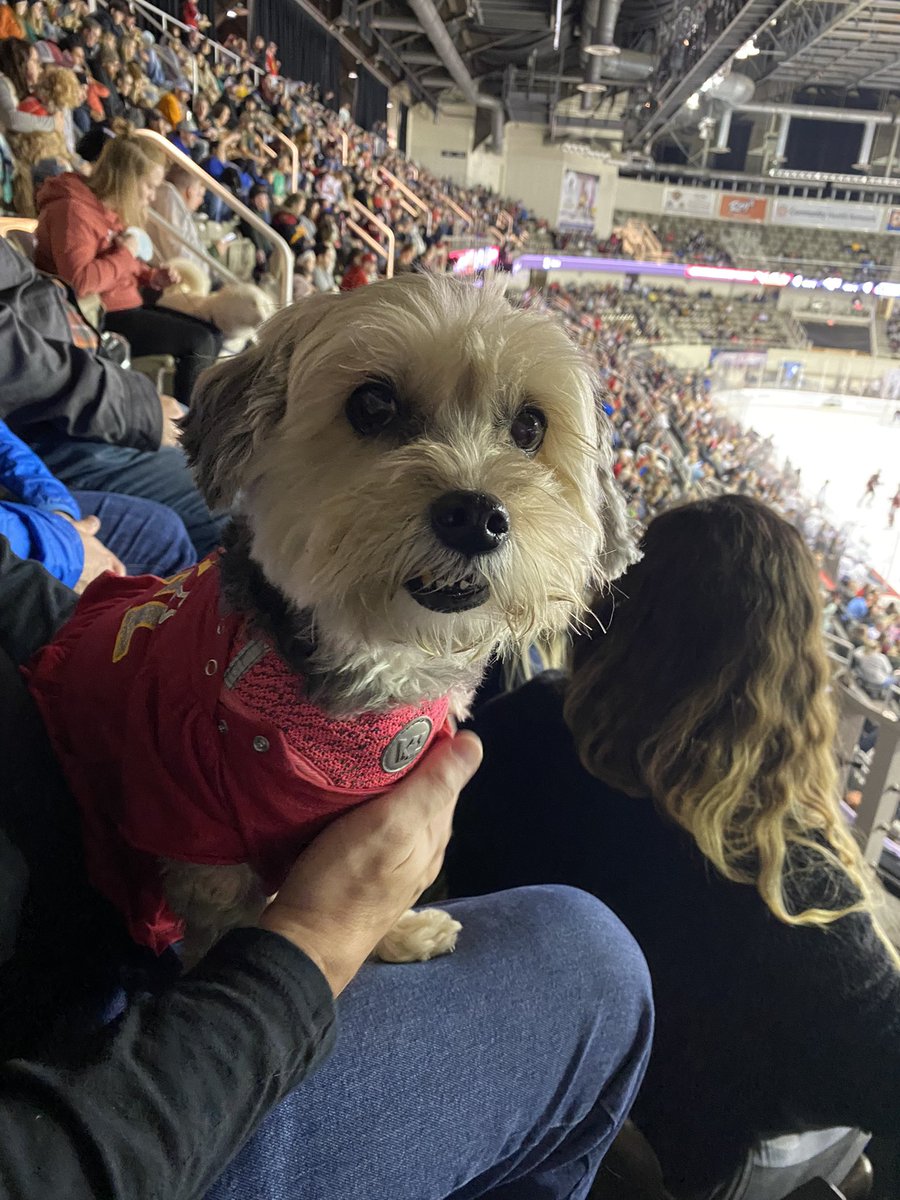 Charli supporting the #IndyFuel at #PucksAndPaws