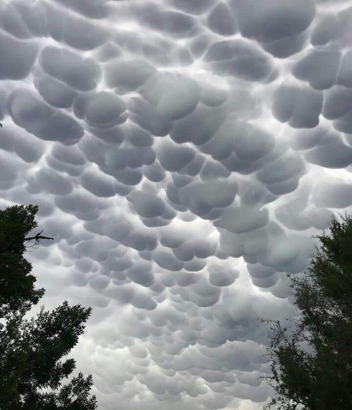 EnsedeCiencia's tweet photo. Impresionantes nubes mammatus o mastodónticas observadas el pasado fin de semana en Córdoba Argentina. 🇦🇷

📸 Isabel Restrepo Vélez https://t.co/uLLIGi1y1Q