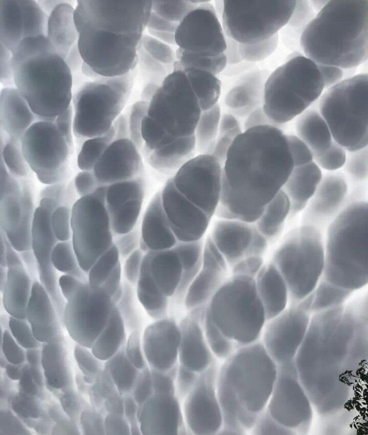 EnsedeCiencia's tweet photo. Impresionantes nubes mammatus o mastodónticas observadas el pasado fin de semana en Córdoba Argentina. 🇦🇷

📸 Isabel Restrepo Vélez https://t.co/uLLIGi1y1Q
