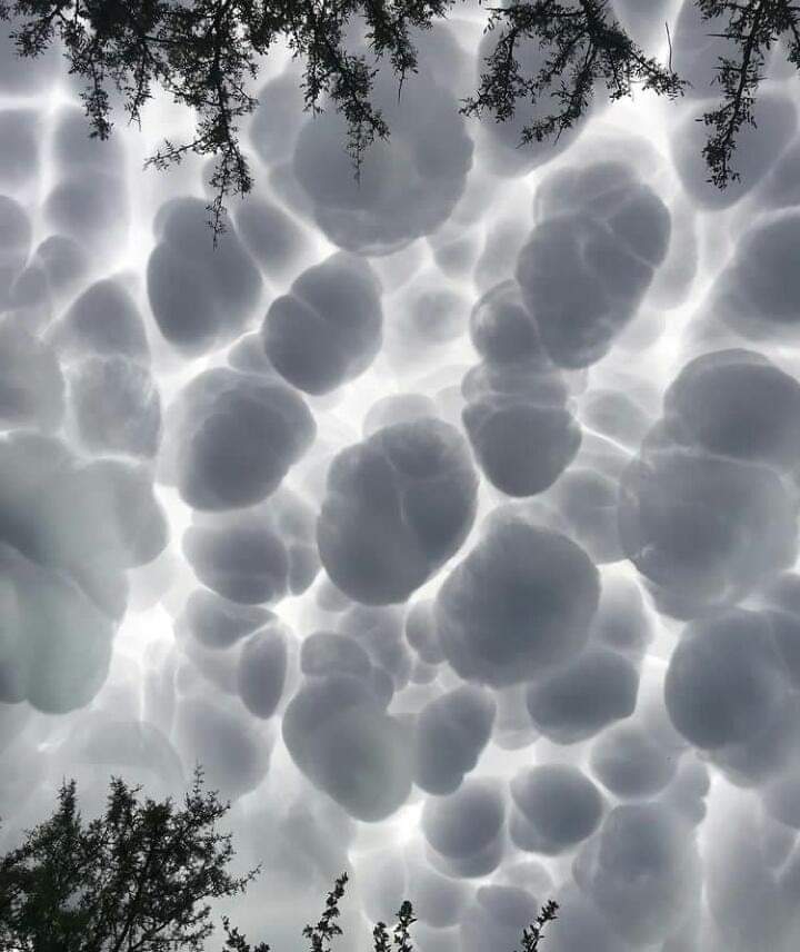 EnsedeCiencia's tweet photo. Impresionantes nubes mammatus o mastodónticas observadas el pasado fin de semana en Córdoba Argentina. 🇦🇷

📸 Isabel Restrepo Vélez https://t.co/uLLIGi1y1Q