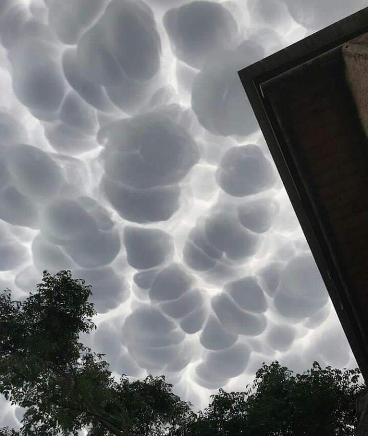 EnsedeCiencia's tweet photo. Impresionantes nubes mammatus o mastodónticas observadas el pasado fin de semana en Córdoba Argentina. 🇦🇷

📸 Isabel Restrepo Vélez https://t.co/uLLIGi1y1Q