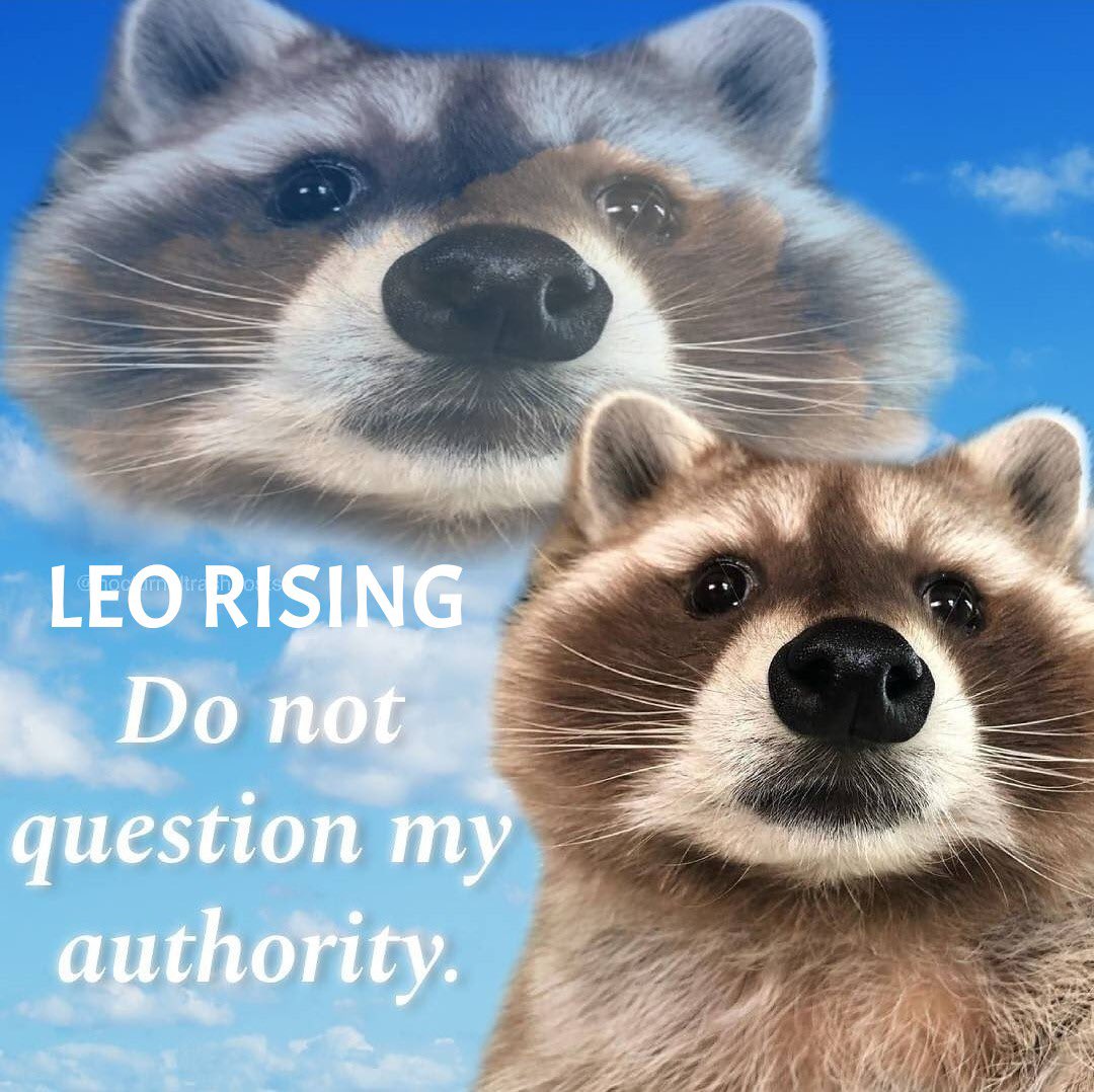 dapperlylauren's tweet photo. https://t.co/AynpYvoDd5
