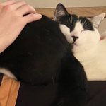 Photo by frak-all 👻 hiatus-y (@AllFrak)