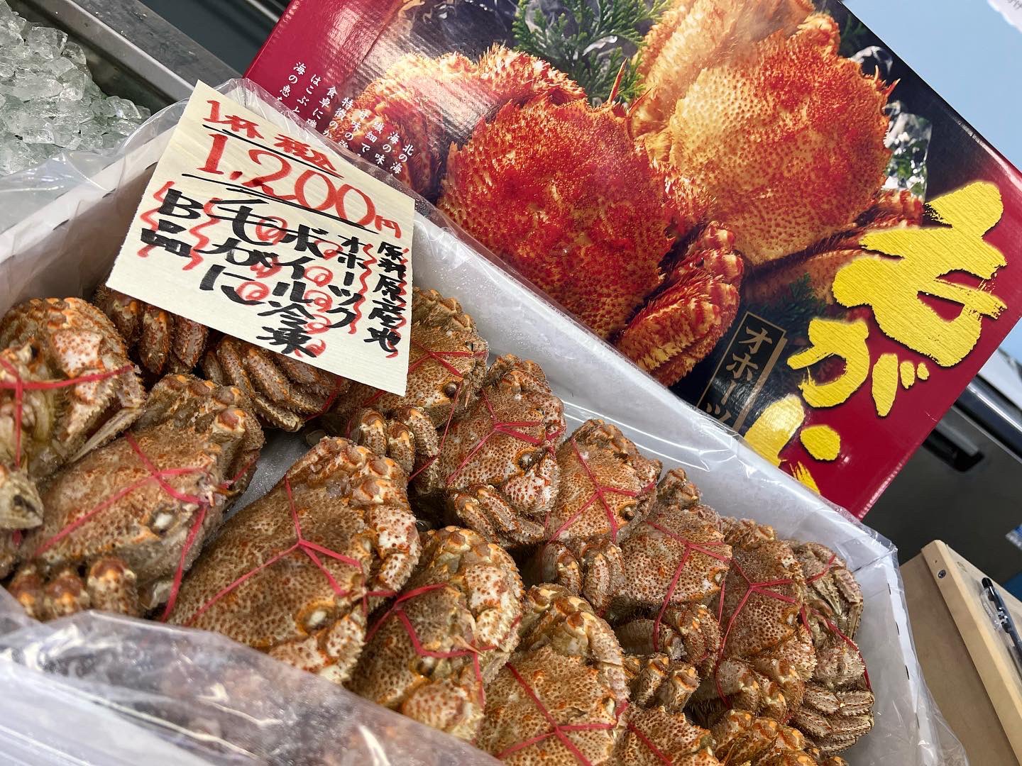 真かすべ Twitter Search Twitter