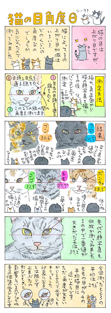 「目を見る」
キリッとした目。優しい目。
何となく困り顔なほっとけない目。
角度もそれぞれ個性的。
(久保智昭さんの「猫色スケッチブック」)つづきはこちら⇒https://t.co/EZEEbUFHI5 
