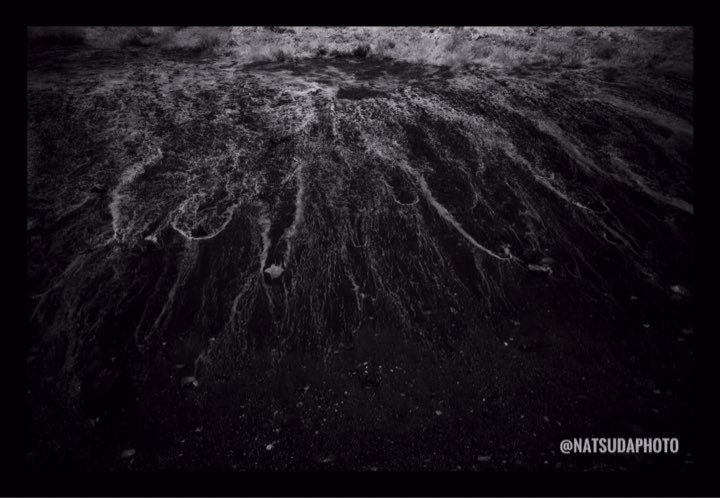 natsudaPHOTO's tweet photo. @PhotoRose1997 😇🥰 Hi 🥰 https://t.co/7np0QUTeHS
