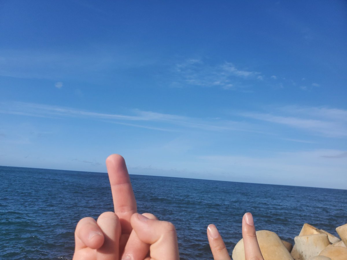 lily🌸 tweet media