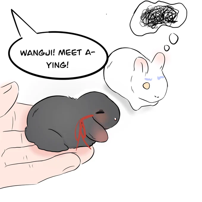 first times

#魔道祖师 #mdzs #WangXian #忘羡 