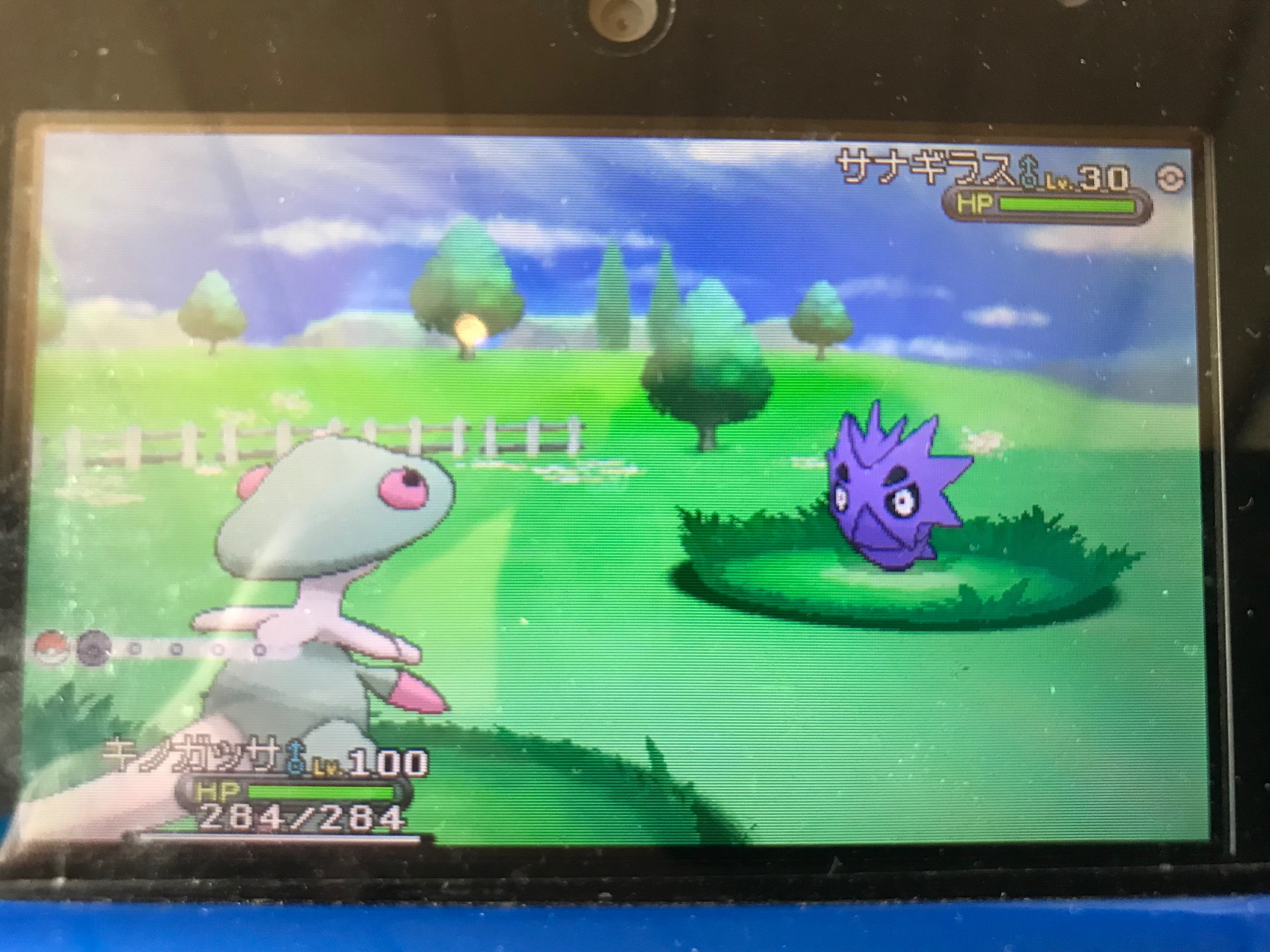 カラ ポケモンxy フレンドサファリ 6体目のお出まし いつになったらガントルの色違いと出会えるのやら T Co Lcbbupyhro Twitter