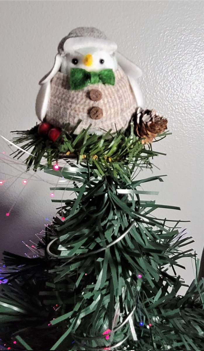 Excited to share the latest addition to my #etsy shop: Holiday Bird Tree Topper, Bed Spring topper, Holiday Center Piece, Ready to Ship #animallovers #birdtreetopper #christmasstar #holidaydecor #christmasdecoration #birdornament etsy.me/3qUmkiy