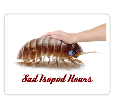 IsopodBot's tweet photo. https://t.co/6oq5nnlbzn