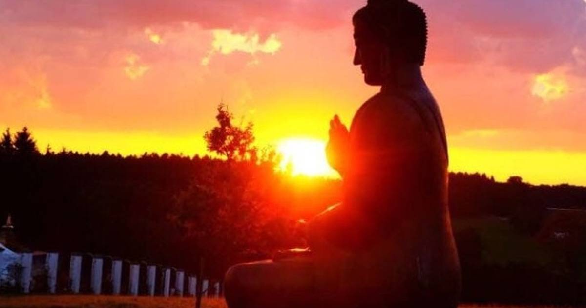 Presse:  Yoga-Workshop im Asiatischen Museum in Radevormwald - RP ONLINE dlvr.it/SCv9HK