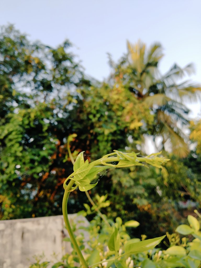 Saravan17109223's tweet photo. Click...... https://t.co/rLOHeG8DUu