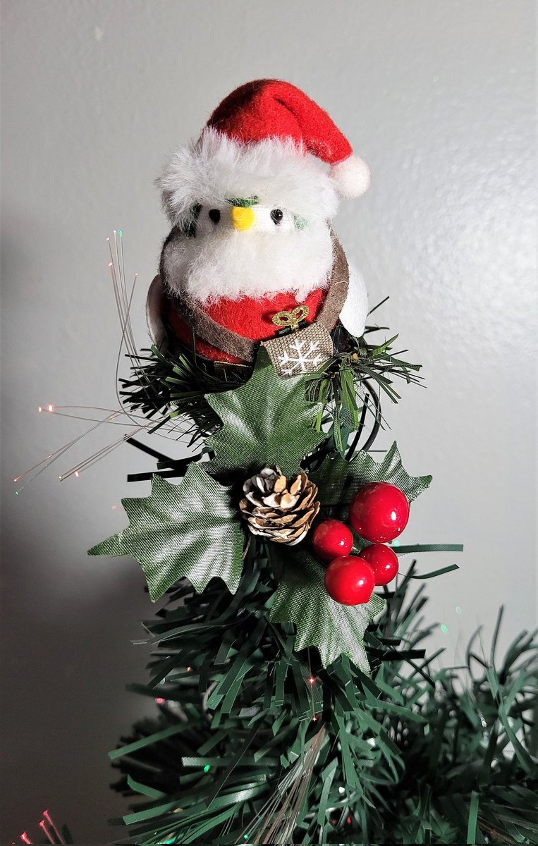 Excited to share the latest addition to my #etsy shop: Santa bird tree topper, Christmas star, holiday decor, table centerpiece, ready to ship #birdtreetopper #animallovers #bedspring #tabletopdecor #christmasstar etsy.me/3qWRk1q