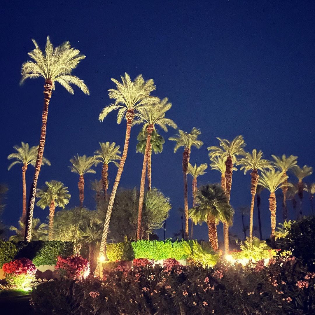 AnInsidersGuide's tweet photo. Desert night sky’s always showing off! ✨⭐️🌴💫🌟
Coachella Valley Photo! - by thedesertoasis_rm
.
#desertlife #desertnight #desertnights #stargazer #stargazing #stargazers #palmtrees #palmtreesfordays #datepalms #tamarisk #datefarm #ranchmirage #palmsprings #drivewayviews https://t.co/I84BQiqSvY