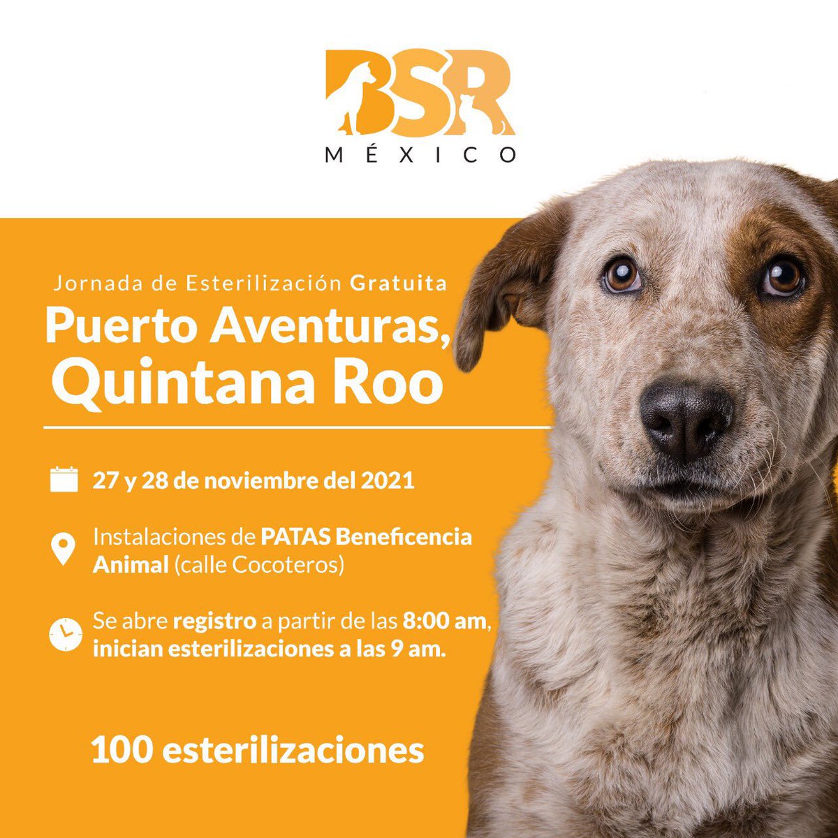 Brigada Sin Raza tweet media