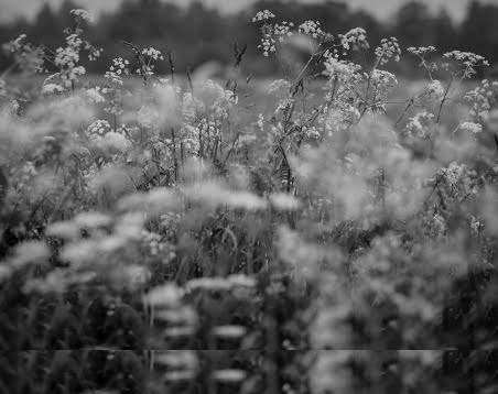 miaudit's tweet image. dove nulla è (ancora) stato, dove nulla è (già) finito

dentro e fuori,
qualche altro abisso,
ma, comunque, noi

#senryū

#TwitterTag:
@RoRoi92375042 @vitadaMaestra_ @cavoloecapra @ttffiocca @mme_francesca_s @Gavrilina_Ritz @Quellasospesa @SimonaPepe8 @GiuliaTamagnin1 
#vocifuori