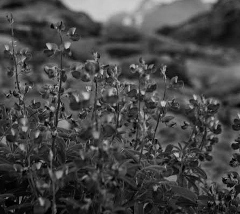 miaudit's tweet image. dove nulla è (ancora) stato, dove nulla è (già) finito

dentro e fuori,
qualche altro abisso,
ma, comunque, noi

#senryū

#TwitterTag:
@RoRoi92375042 @vitadaMaestra_ @cavoloecapra @ttffiocca @mme_francesca_s @Gavrilina_Ritz @Quellasospesa @SimonaPepe8 @GiuliaTamagnin1 
#vocifuori