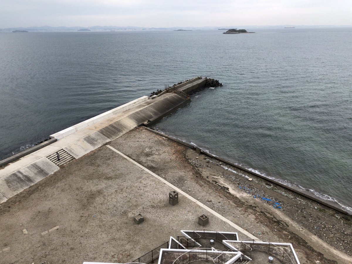 Терминатор tweet media