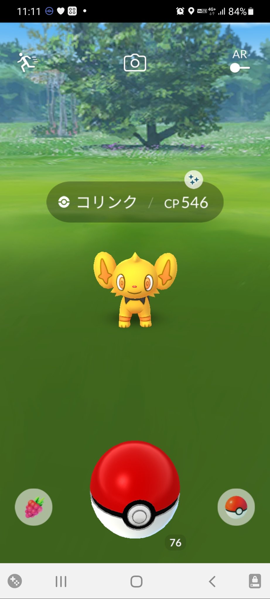 ウサギゴケ ポケモン用アカウント Usagigoke 98 Twitter