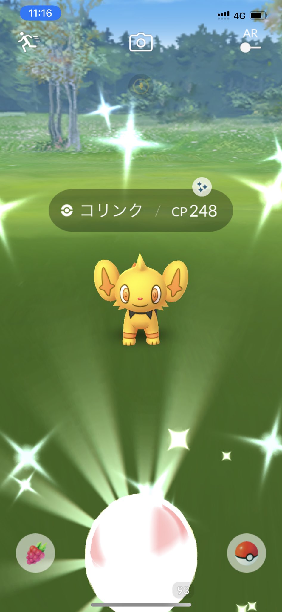 Pgoひなこ とりあえずゲットしたけど 久しぶりに重くて全然動かない サーバー落ちかなぁ ポケモンgo コリンク コミュニティデー T Co Ivycgagrwx Twitter