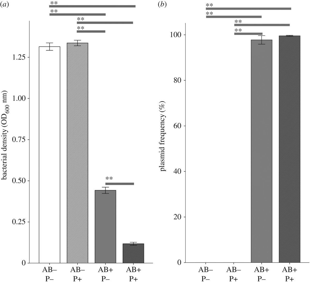 RSocPublishing's tweet image. Targeting antibiotic resistant bacteria with phage reduces bacterial density in an insect host ow.ly/XrSQ50Exyar #bacteriophage #antibioticresistance #insectmodel #BiologyLetters