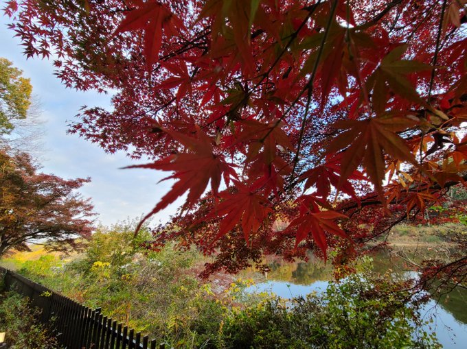 Twitterのコスプレ画像27