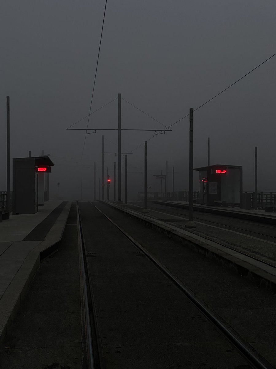 lapunkauxlapins's tweet photo. j’ai pris des tof a mon arrêt de tram en retour de teuf https://t.co/AkXRMcNS5P