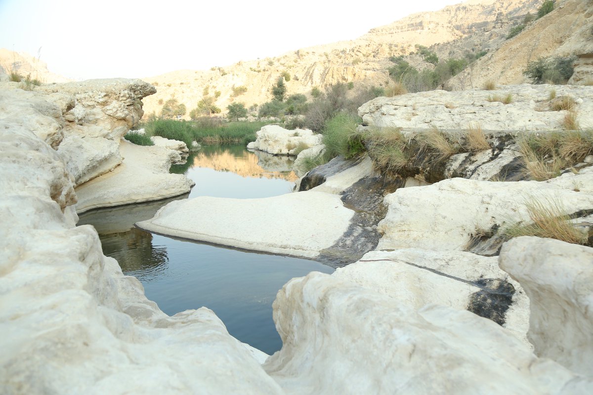 ZMQuadri's tweet photo. Rani Kot, the natural and physical heritage of Sindh 
@Crit_Heritage @NatResources @IUCN https://t.co/SX0xSMtYzX