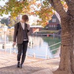 Jiro K💫11.19~ポケモンBDで多忙のツイート画像