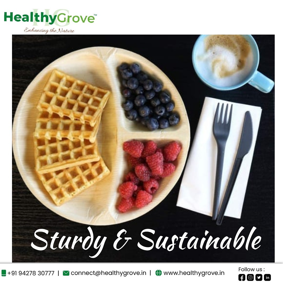 HealthyGrove's tweet photo. Live more sustainably with HealthyGrove
#enhancingthenature #gogreen #plasticfree #strong #elegant #chemicalfree #disposabletableware #intrend #sturdy #partyplates #sustainable https://t.co/N2Fi8lq2Q6