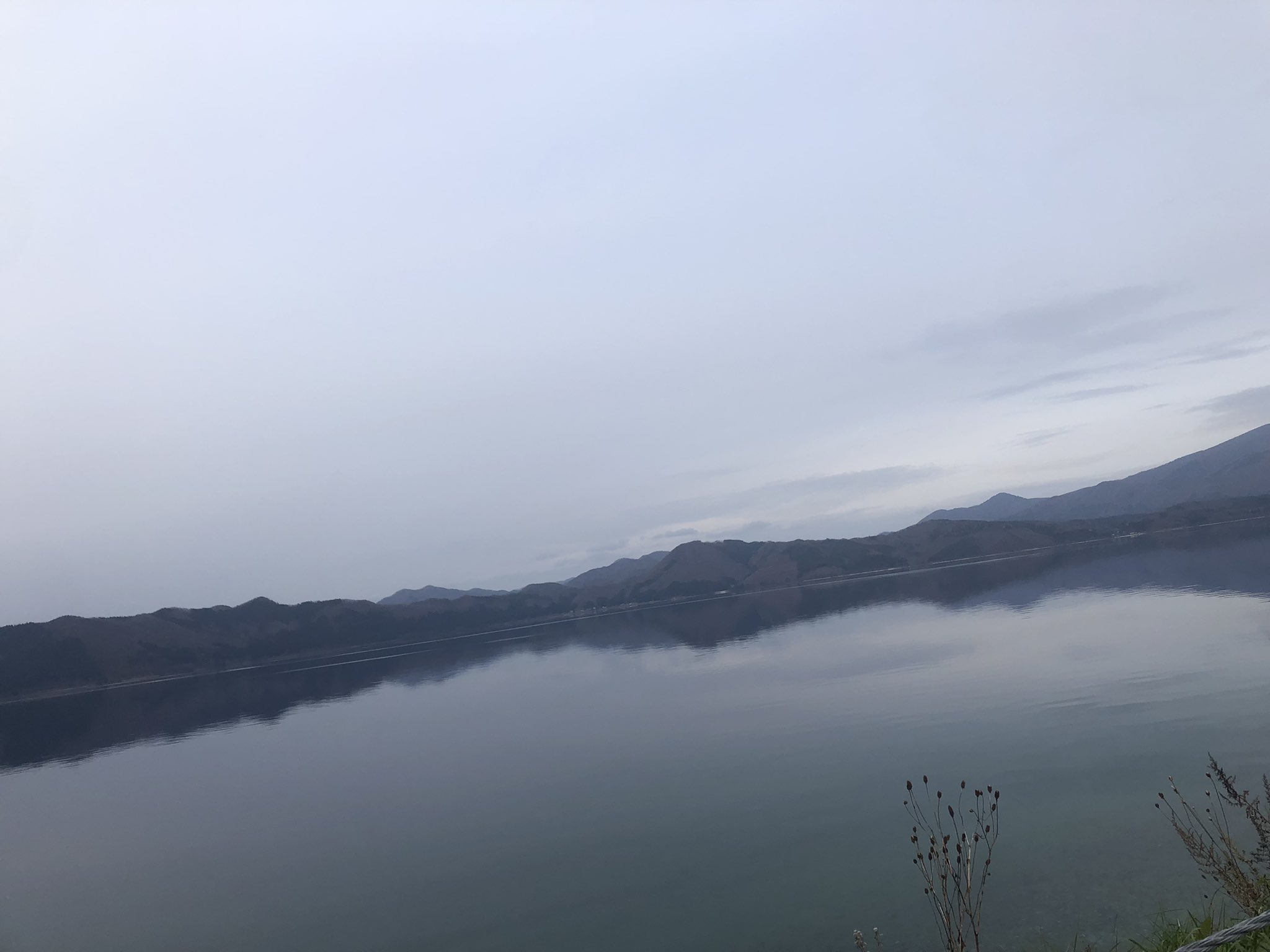 田沢湖ブルー Twitter Search Twitter